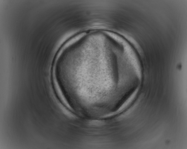 X0000101111333200807171927