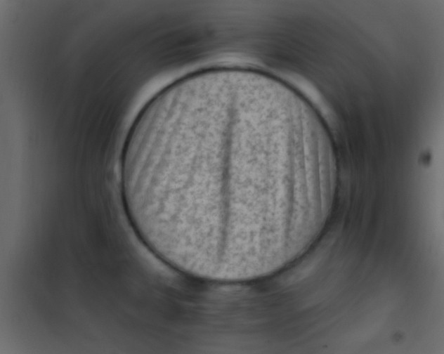 X0000101111335200807171927