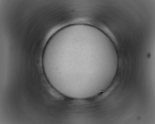 X0000101111336200807171927