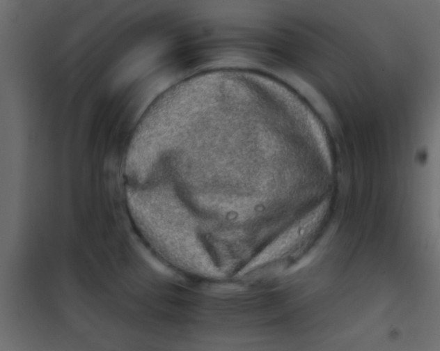 X0000101111337200807171927