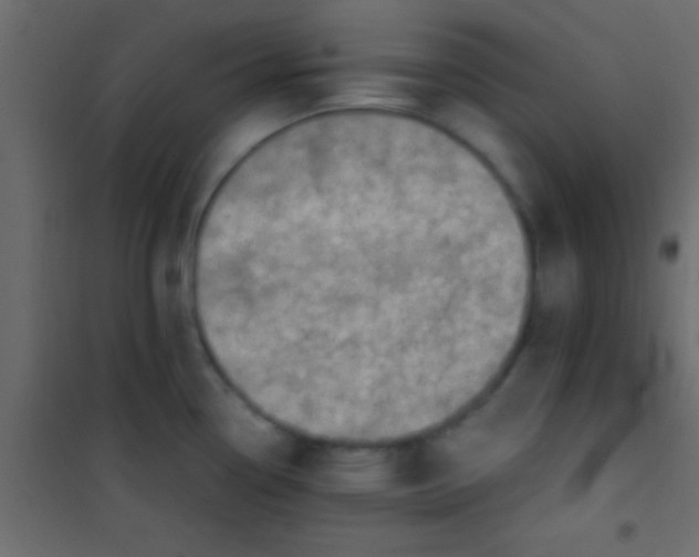 X0000101111338200807171927