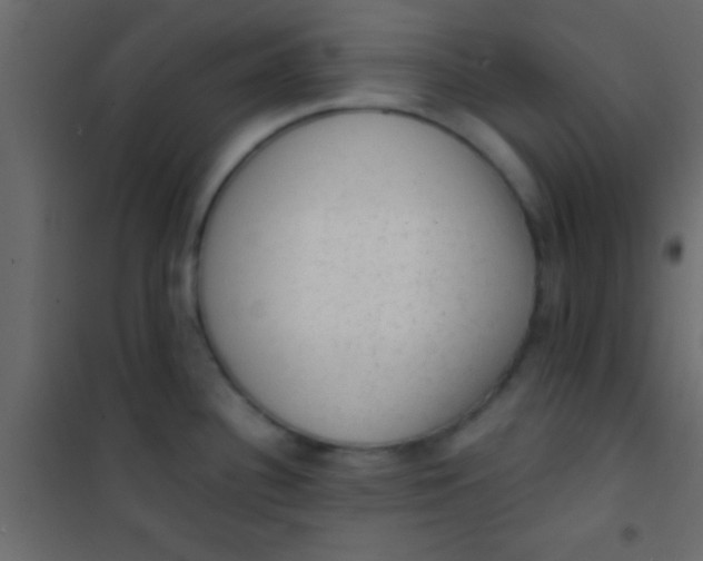 X0000101111340200807171927