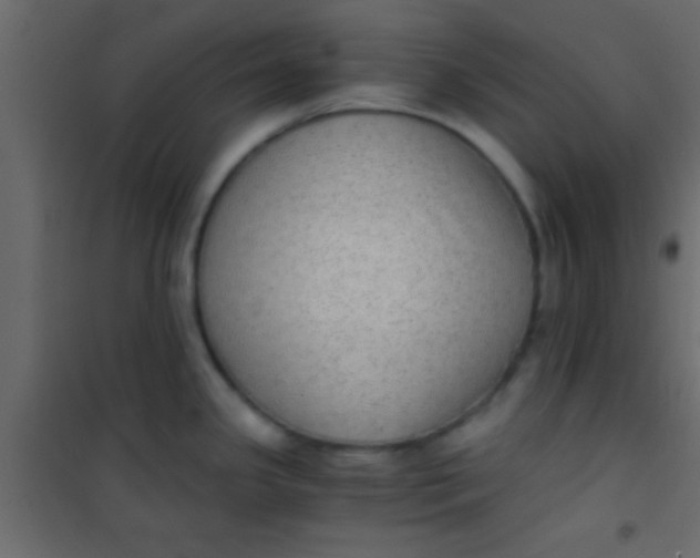 X0000101111341200807171927