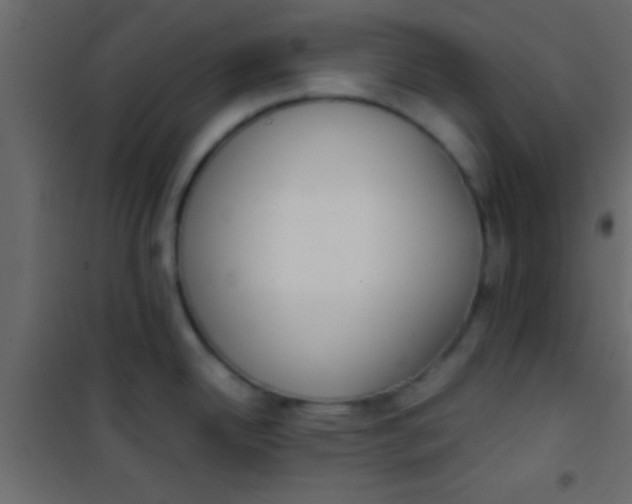 X0000101111342200807171927