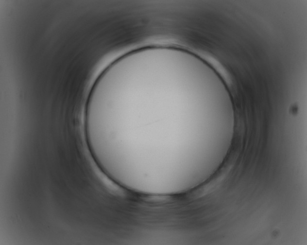 X0000101111343200807171927