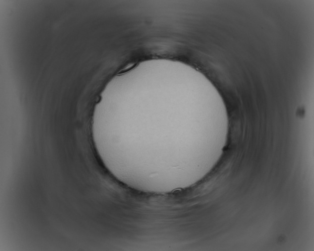 X0000101111345200807171927