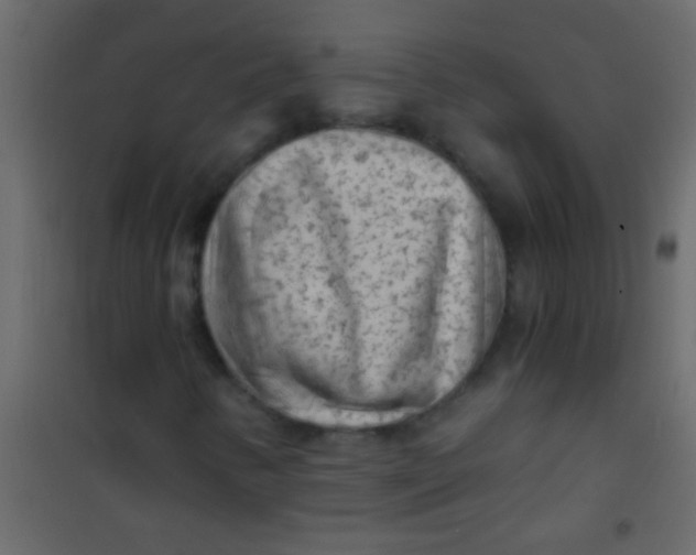 X0000101111346200807171927