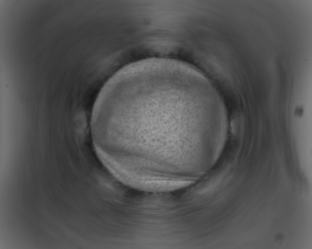 X0000101111347200807171927