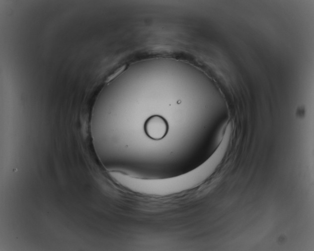 X0000101111348200807171927