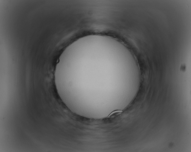 X0000101111349200807171927
