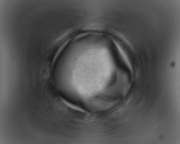 X0000101111350200807171927