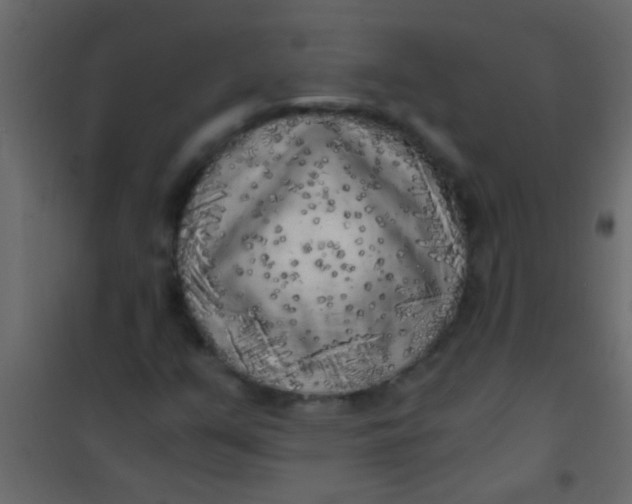 X0000101111351200807171927