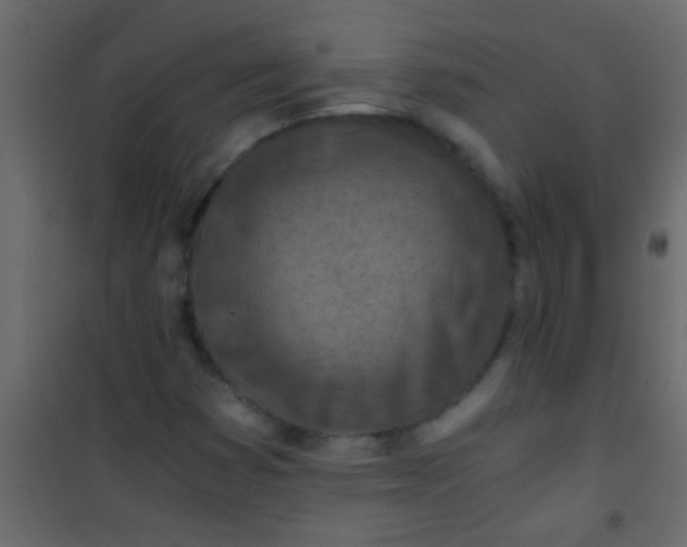 X0000101111353200807171927