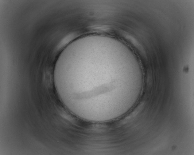 X0000101111354200807171927