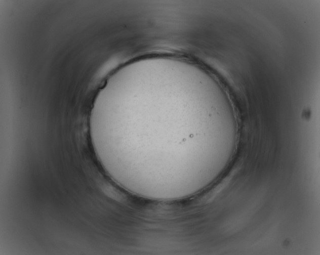 X0000101111355200807171927