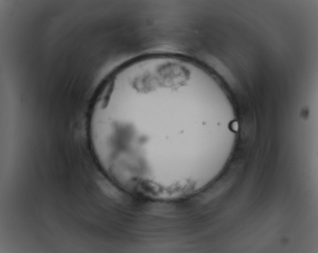 X0000101111356200807171927