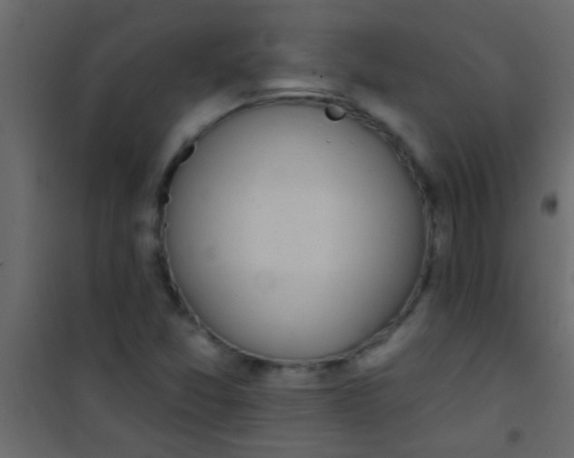 X0000101111357200807171927