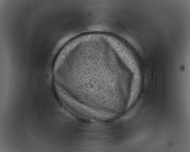 X0000101111358200807171927