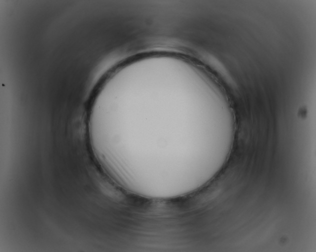 X0000101111360200807171927