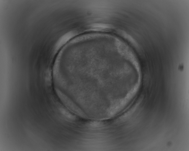 X0000101111362200807171927