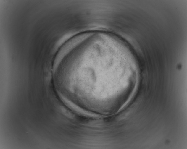 X0000101111363200807171927