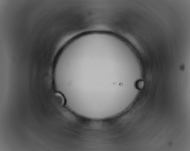 X0000101111364200807171927