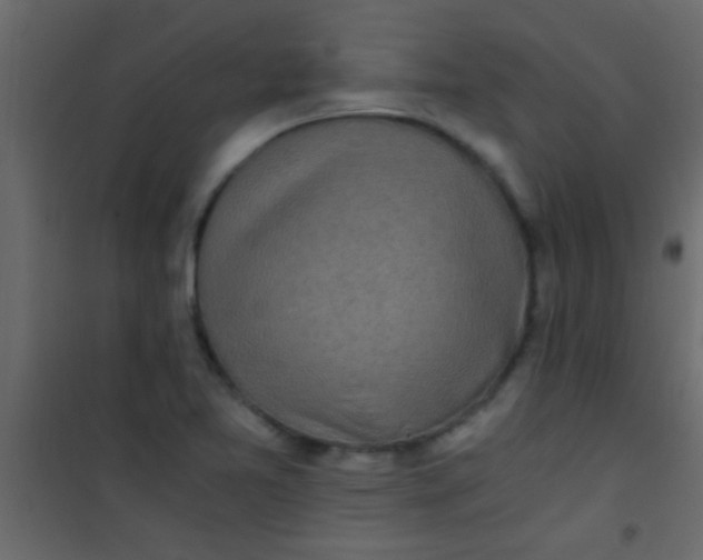 X0000101111365200807171927