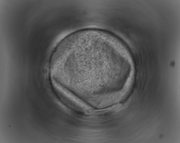 X0000101111367200807171926