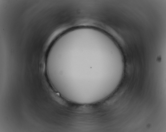X0000101111368200807171926