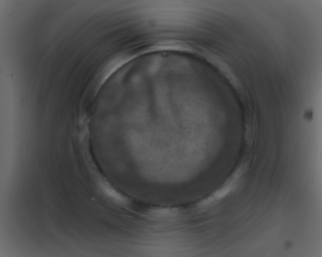 X0000101111369200807171926