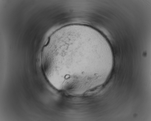 X0000101111371200807171926