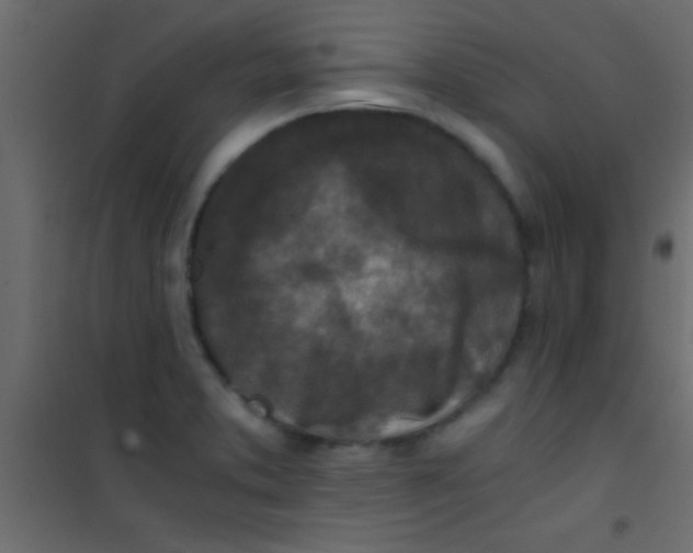 X0000101111373200807171926