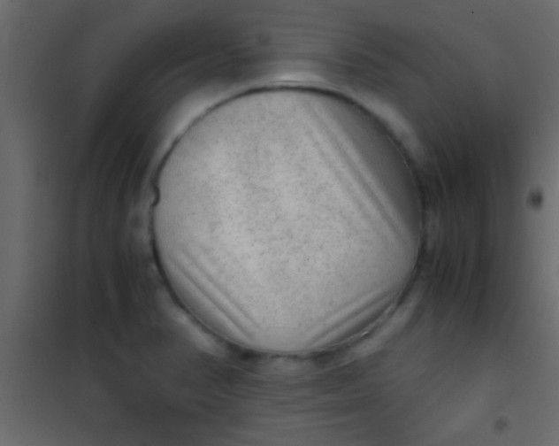 X0000101111374200807171926
