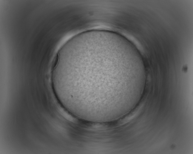 X0000101111375200807171926