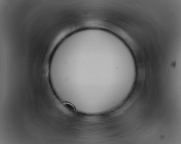 X0000101111376200807171926