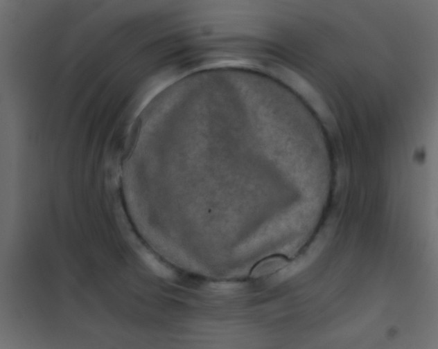 X0000101111377200807171926