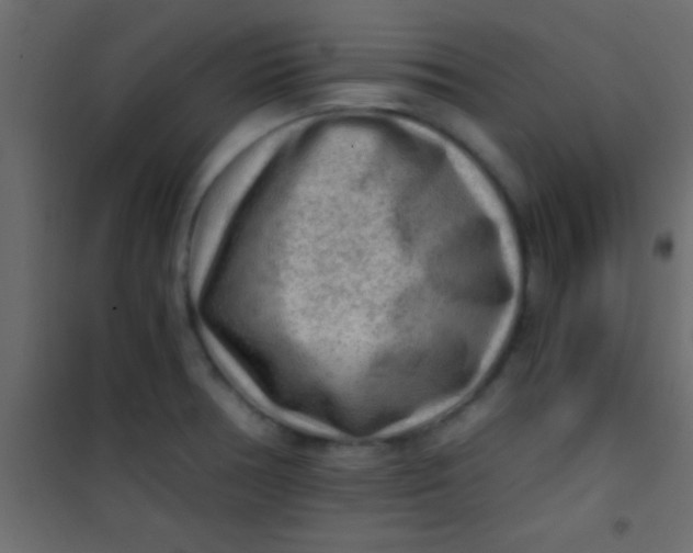X0000101111378200807171926