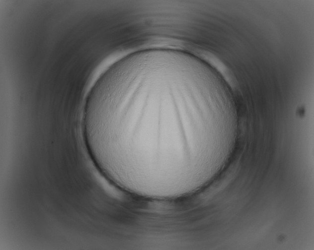X0000101111379200807171926