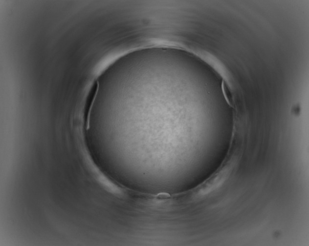 X0000101111381200807171926