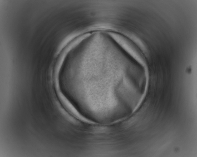 X0000101111382200807171926