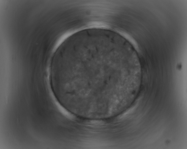 X0000101111383200807171926