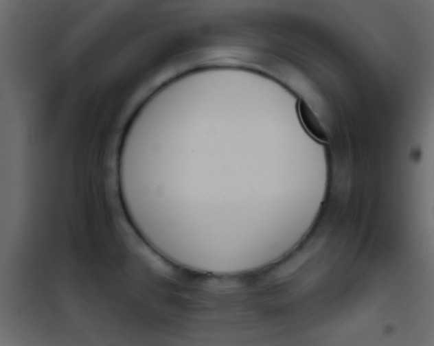 X0000101111384200807171926