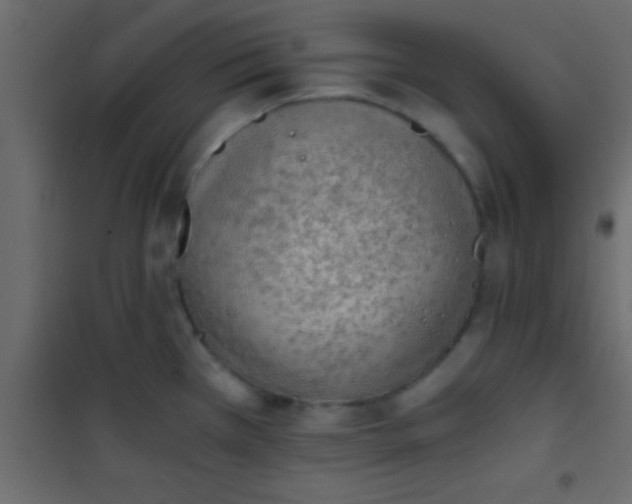 X0000101111385200807171926