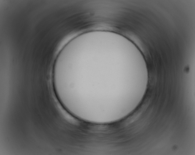 X0000101111387200807171926