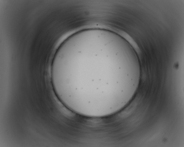 X0000101111388200807171926