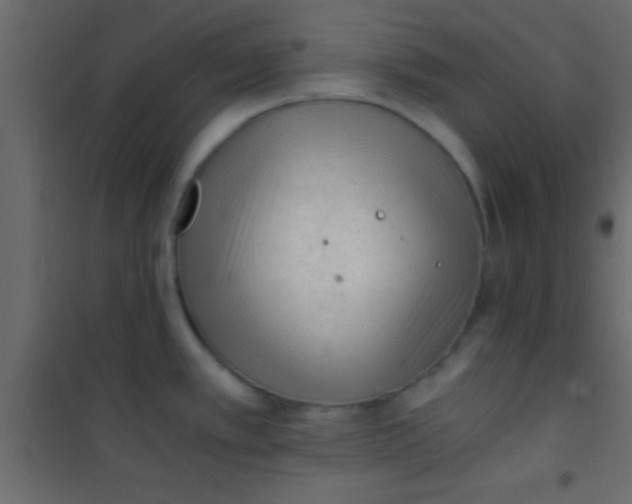X0000101111389200807171926