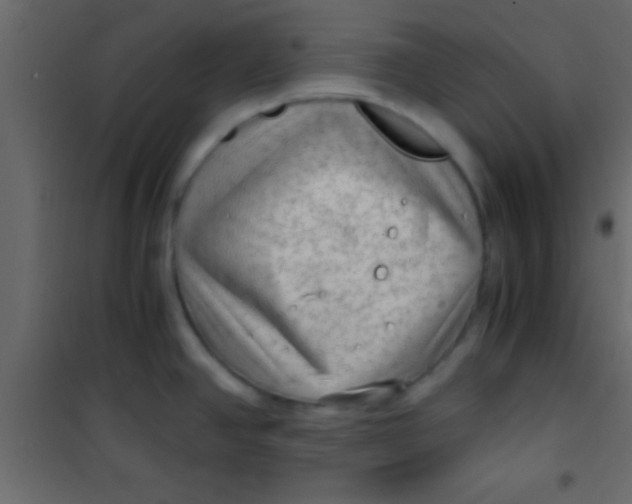 X0000101111390200807171926