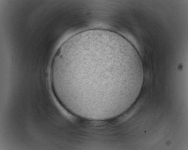 X0000101111391200807171926