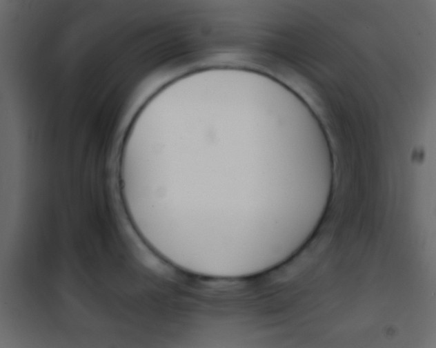 X0000101111392200807171926