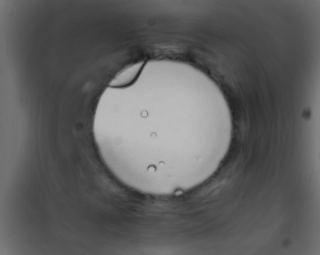 X0000101111393200807171925